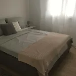 Apartamento Luxury Vucinic