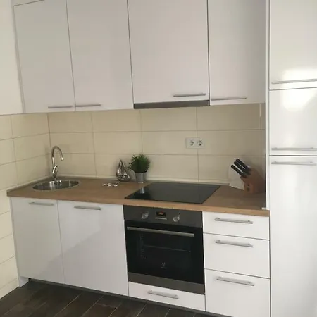 Luxury Vucinic Apartmán
